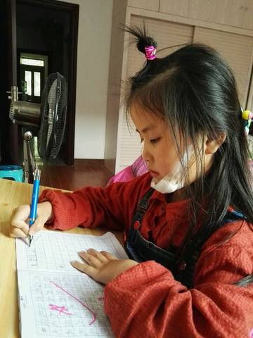 journal_insert_pic_724408797
