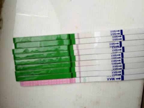 journal_insert_pic_724290578