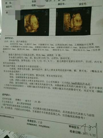 journal_insert_pic_724401277