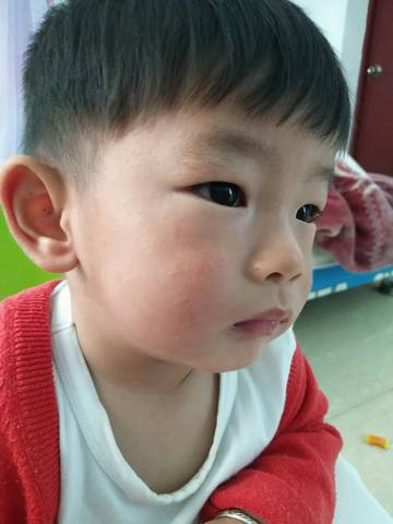 journal_insert_pic_724254696