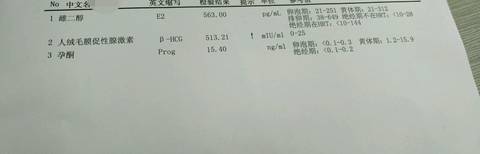 journal_insert_pic_725131737