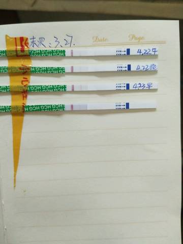 journal_insert_pic_725108391