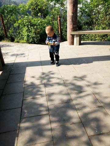 journal_insert_pic_724932533