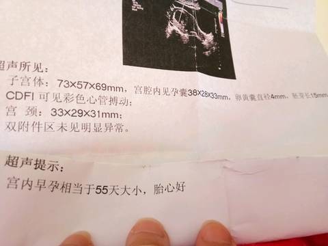 journal_insert_pic_725572722
