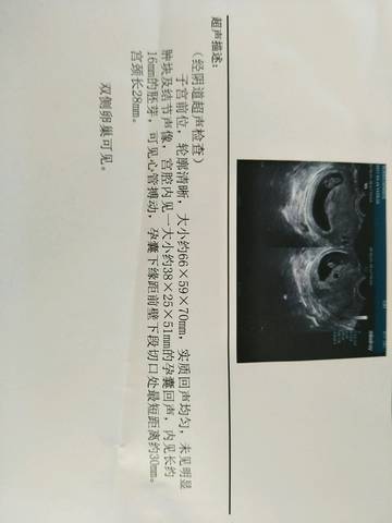 journal_insert_pic_725906531