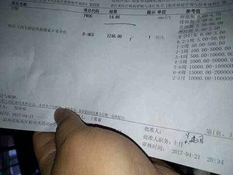 journal_insert_pic_726509910