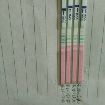 journal_insert_pic_726561742