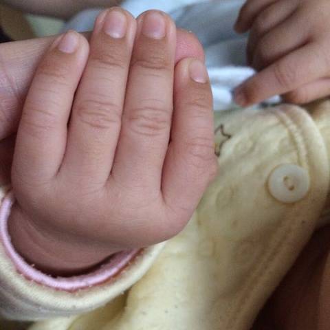 journal_insert_pic_727443803