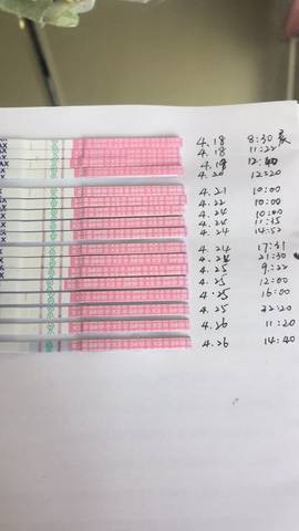 journal_insert_pic_727411495
