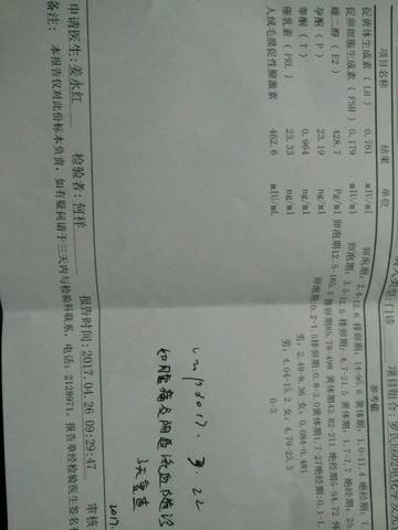 journal_insert_pic_727566101