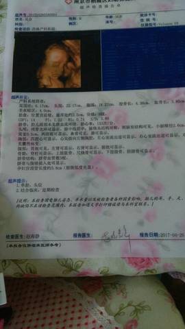 journal_insert_pic_727505804