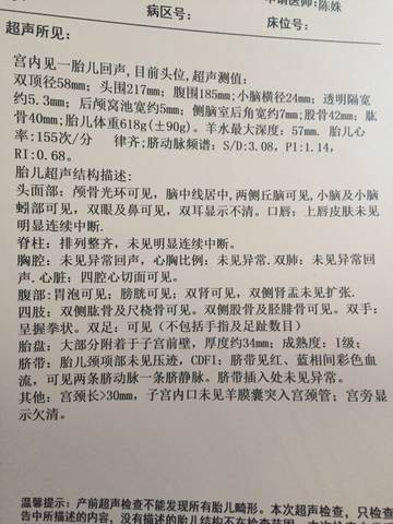 journal_insert_pic_728923665