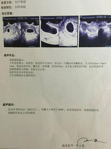 journal_insert_pic_729596061