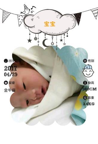 journal_insert_pic_729354484