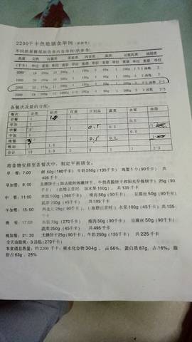journal_insert_pic_730608574