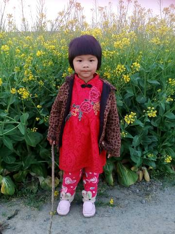 journal_insert_pic_730638642