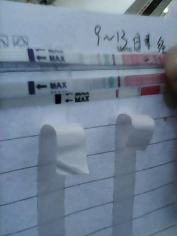 journal_insert_pic_730992311