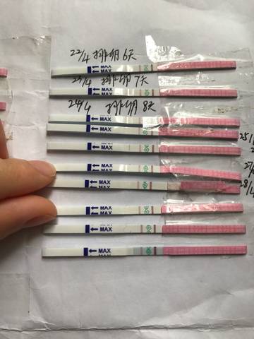 journal_insert_pic_732170463