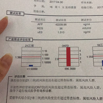 journal_insert_pic_731862336