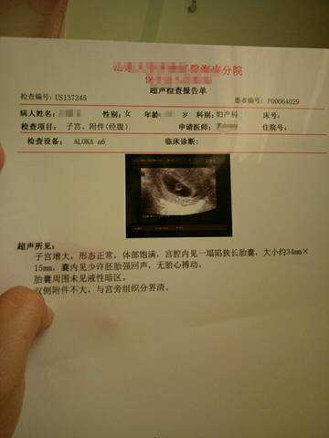 journal_insert_pic_732359852