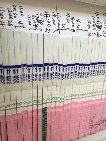 journal_insert_pic_732114650