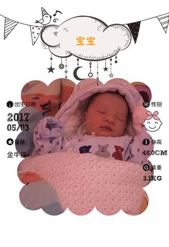 journal_insert_pic_733303289
