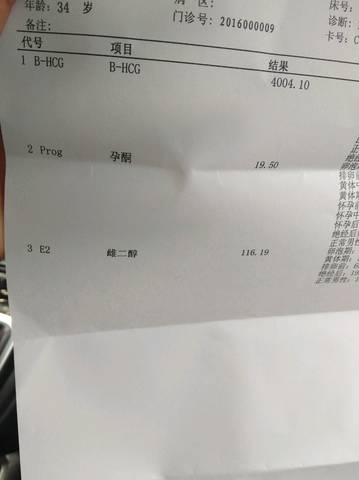 journal_insert_pic_732927938