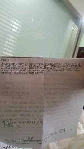 journal_insert_pic_733160644
