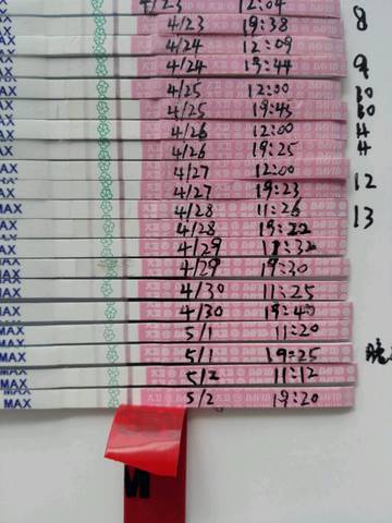 journal_insert_pic_732810736