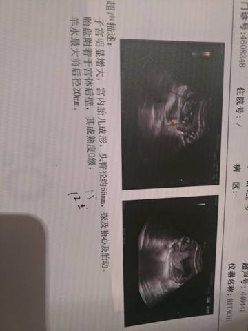 journal_insert_pic_733255650