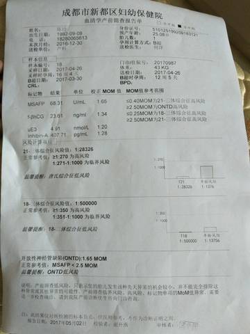 journal_insert_pic_733034651