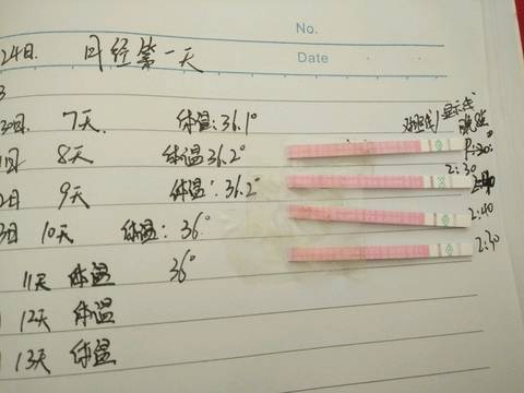 journal_insert_pic_733926692