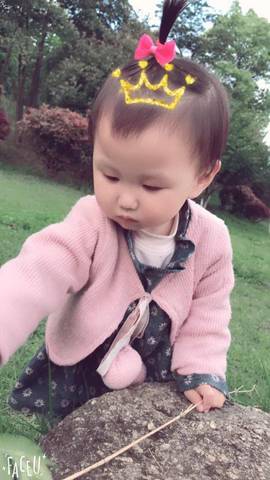 journal_insert_pic_734144342