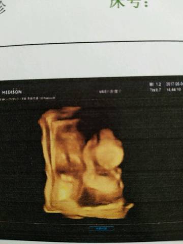 journal_insert_pic_733898451