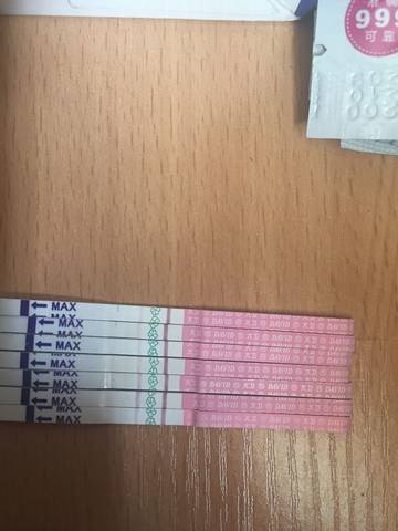 journal_insert_pic_734550164