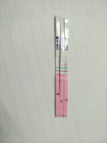 journal_insert_pic_734524368