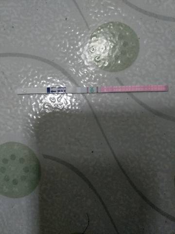 journal_insert_pic_735502232