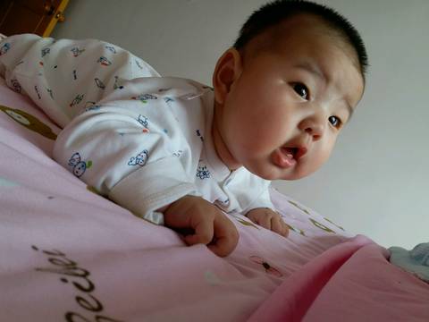 journal_insert_pic_735065301