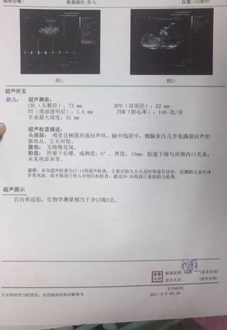 journal_insert_pic_736941695