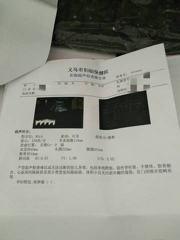 journal_insert_pic_736978930