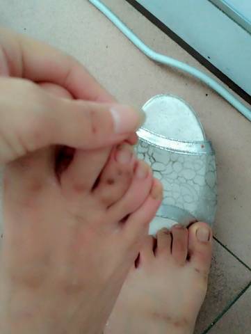 journal_insert_pic_736890888