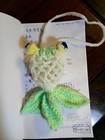 journal_insert_pic_737621049