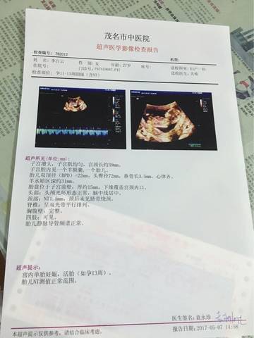 journal_insert_pic_737732922