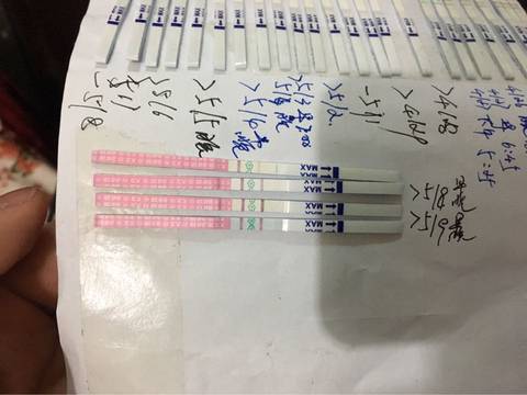 journal_insert_pic_738005439
