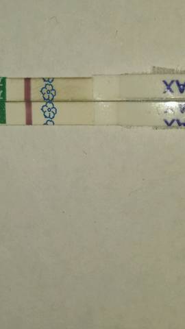 journal_insert_pic_738129708