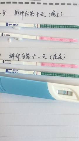 journal_insert_pic_737618440