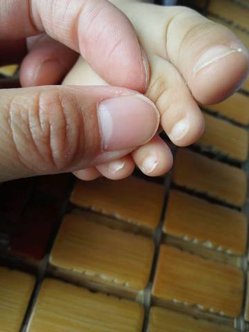 journal_insert_pic_738495868