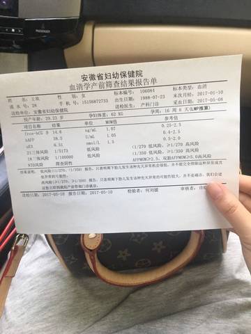 journal_insert_pic_738859825