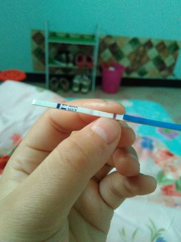 journal_insert_pic_738246051