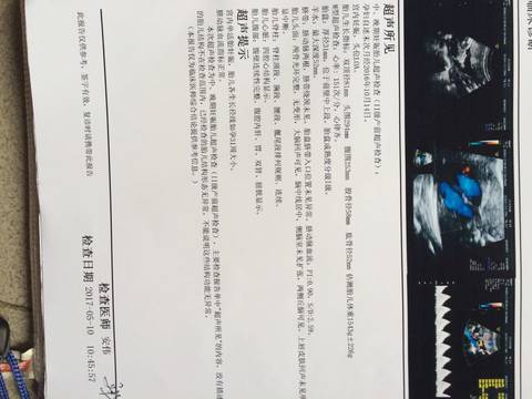 journal_insert_pic_738529159